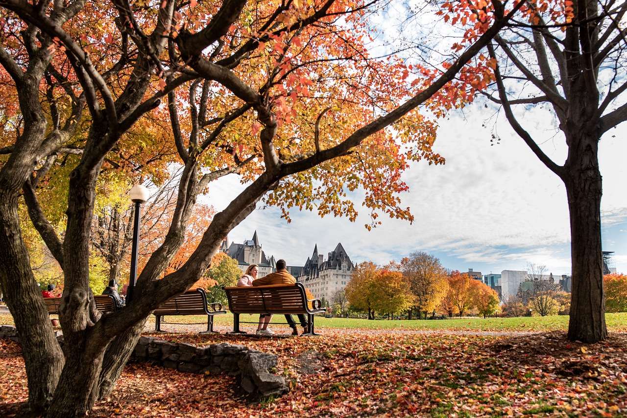 fall, park, bench-beautifuplacesto-visit.jpg