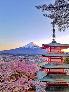 japan-visa-free-destination-travel