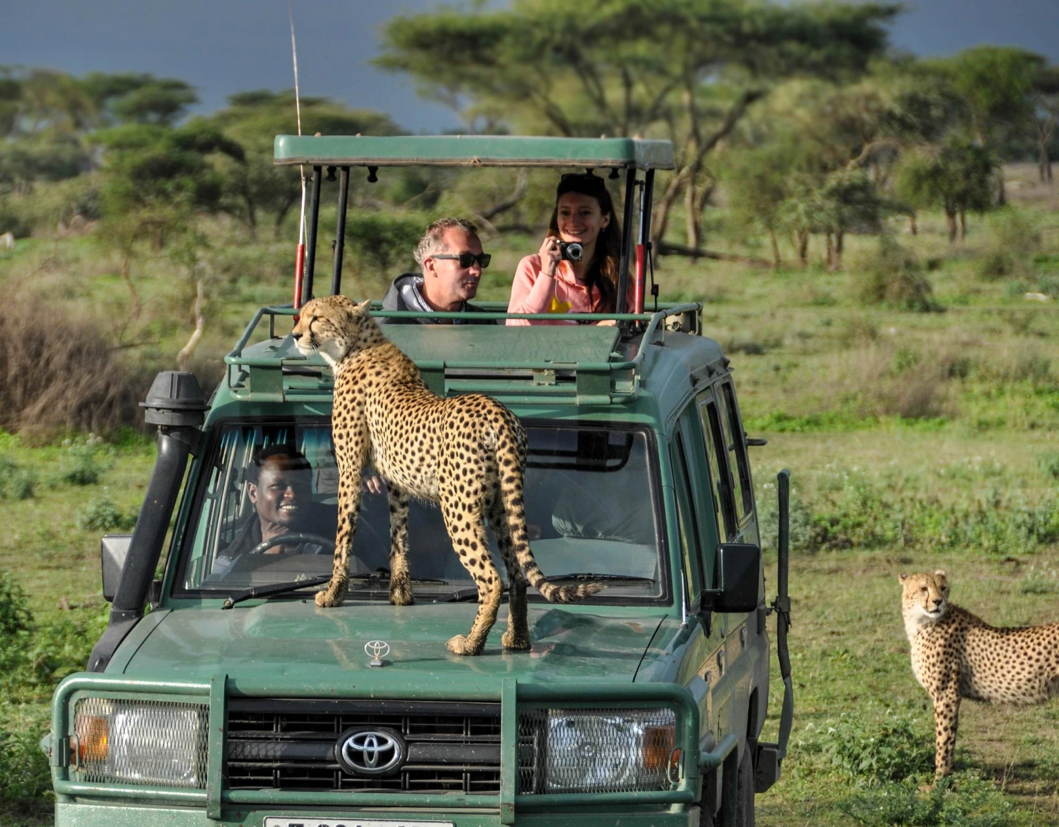 African-safari-tour-package